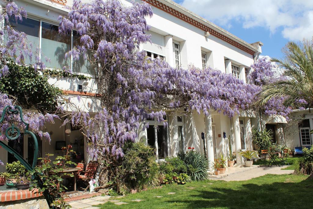 Domaine Saint Nicolas Bed and Breakfast Perpignano Esterno foto